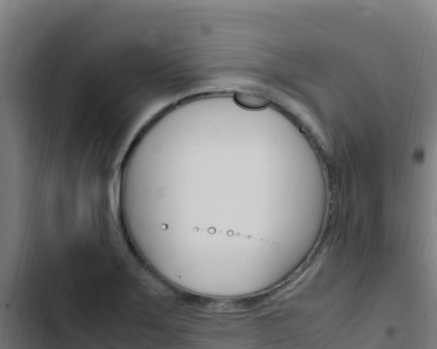 X0000103451275200809121117