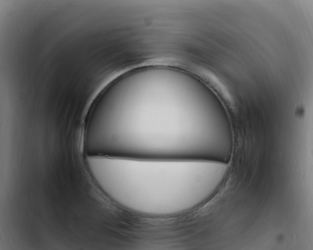 X0000103451276200809121117