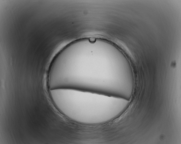 X0000103451277200809121117