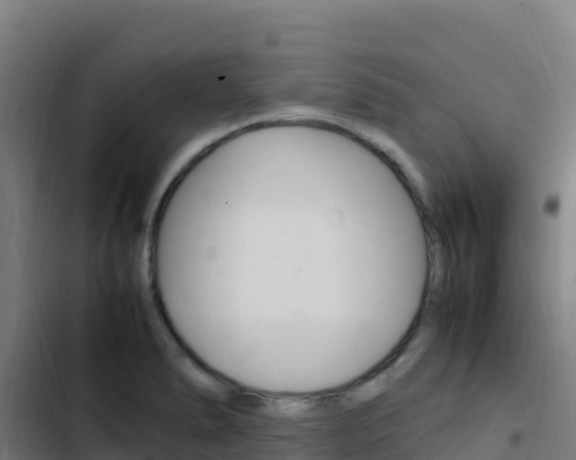 X0000103451278200809121117