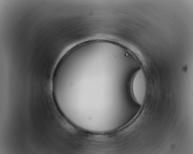 X0000103451280200809121117