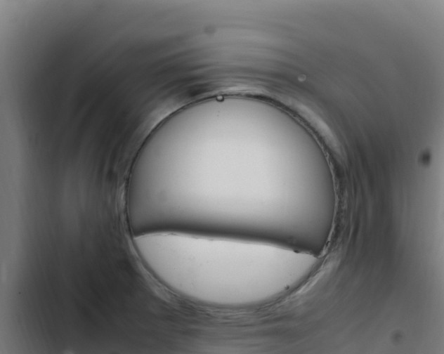 X0000103451281200809121117