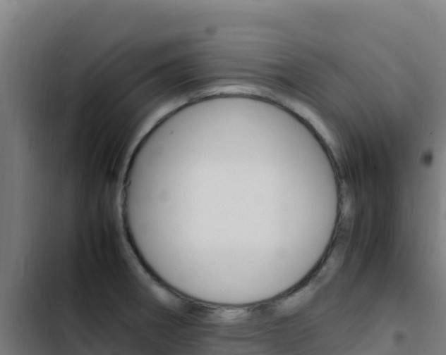 X0000103451282200809121117