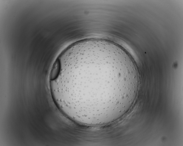 X0000103451283200809121117