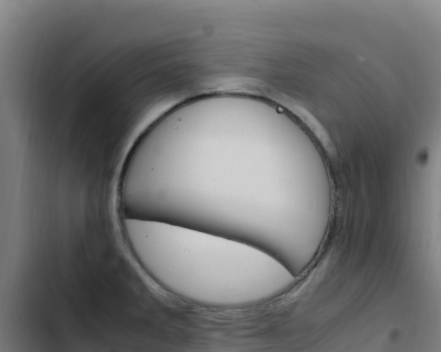X0000103451285200809121117