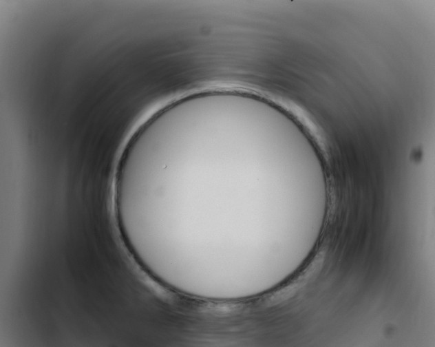 X0000103451286200809121116