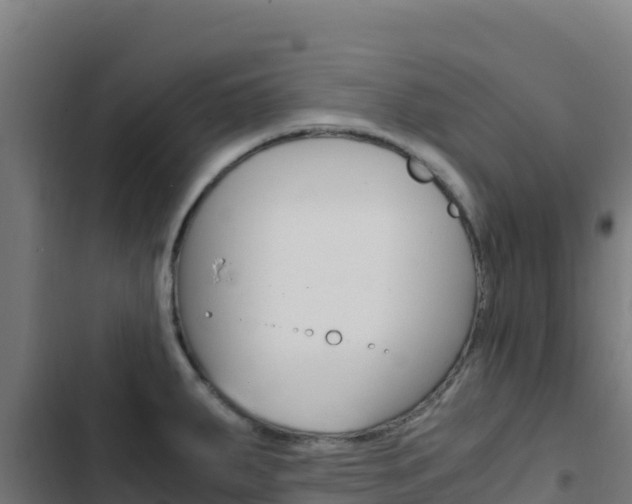 X0000103451287200809121116