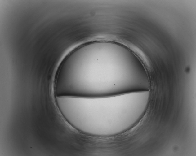 X0000103451288200809121116