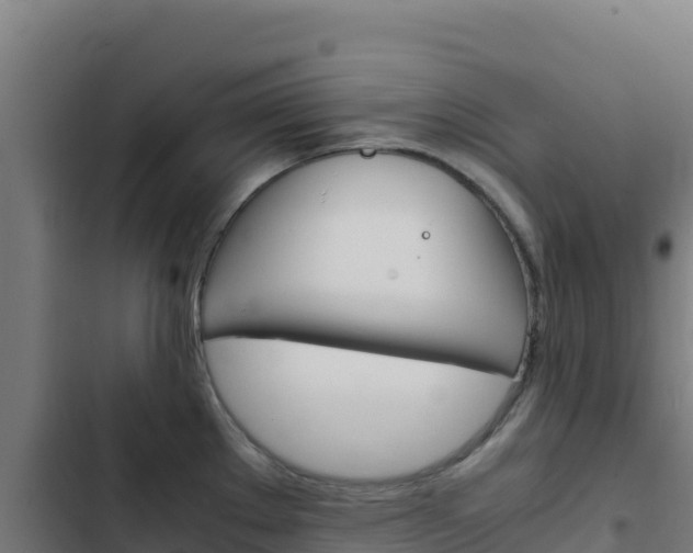X0000103451289200809121116