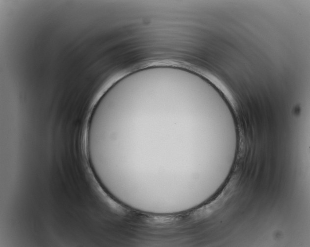 X0000103451290200809121116