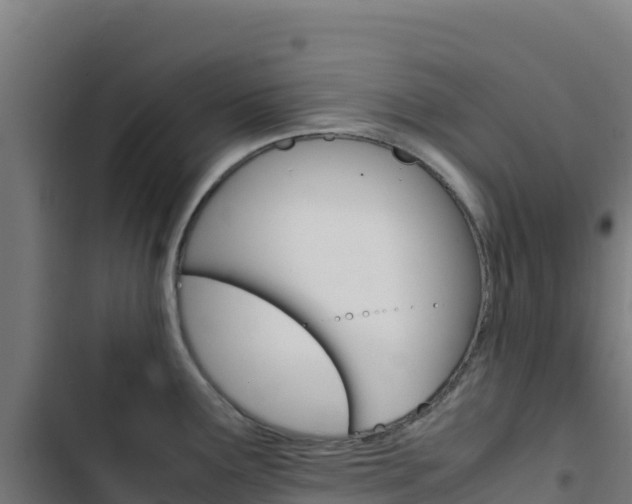 X0000103451291200809121116