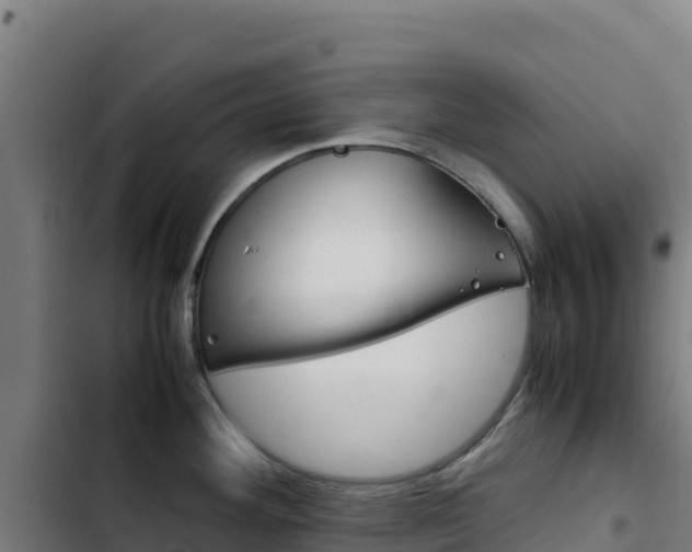 X0000103451292200809121116