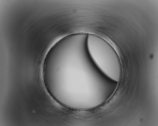 X0000103451293200809121116