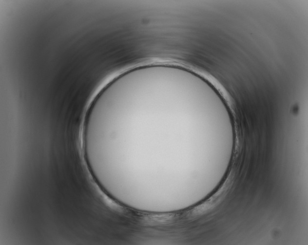 X0000103451294200809121116