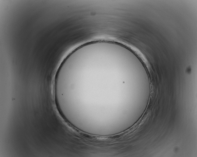 X0000103451295200809121116