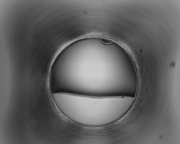 X0000103451296200809121116