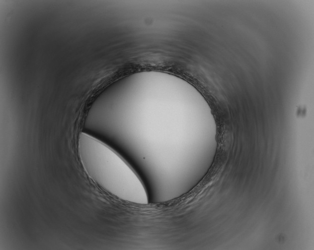 X0000103451297200809121116