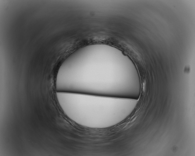 X0000103451299200809121116