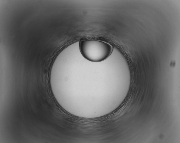 X0000103451300200809121116
