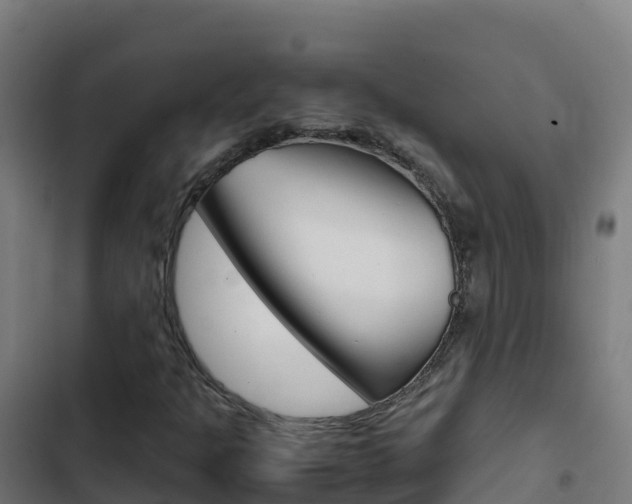 X0000103451301200809121116