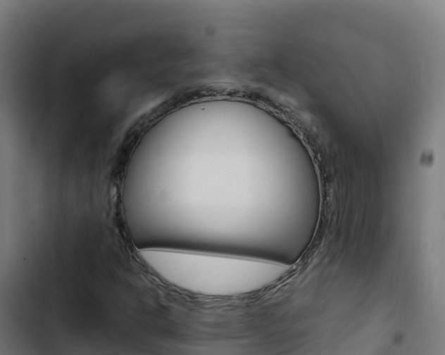 X0000103451302200809121116