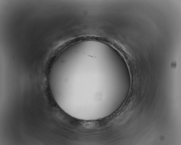 X0000103451303200809121116
