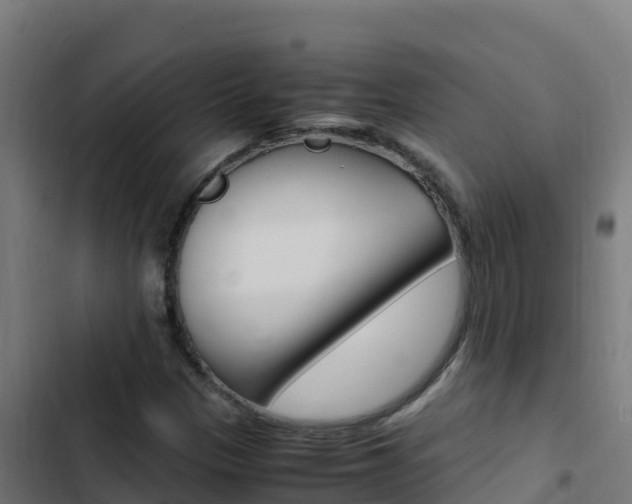 X0000103451305200809121116