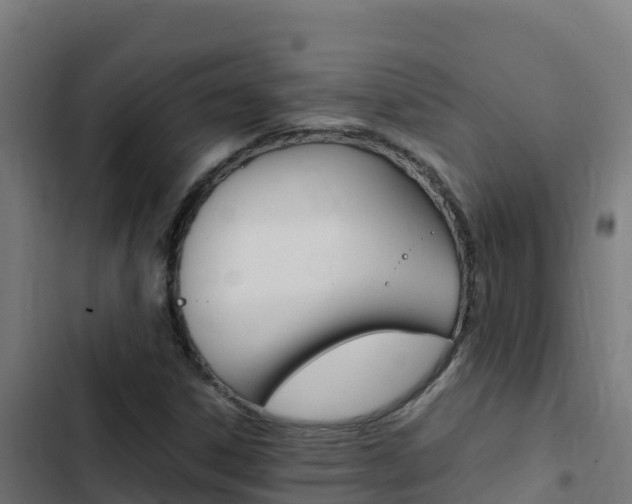 X0000103451306200809121116