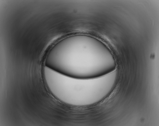 X0000103451307200809121116