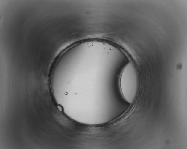 X0000103451308200809121116