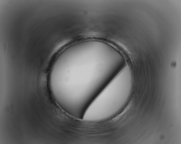 X0000103451309200809121116