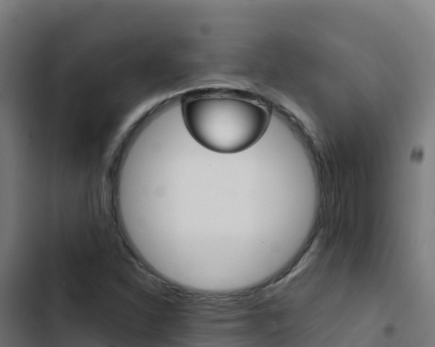 X0000103451310200809121116