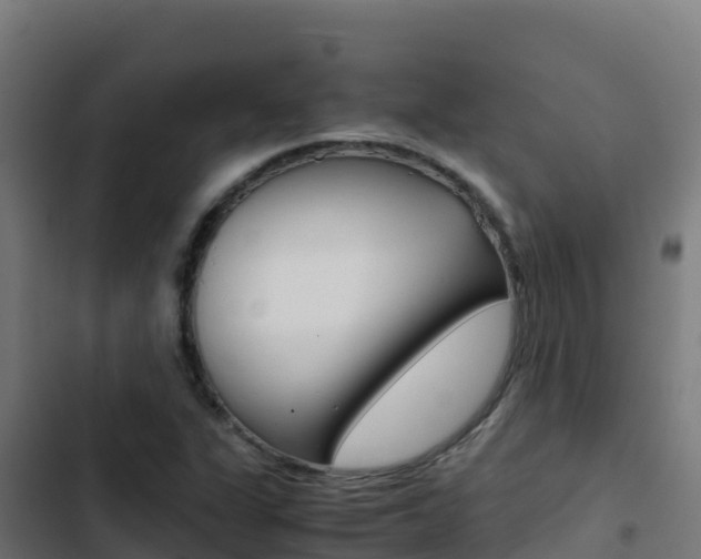 X0000103451311200809121116