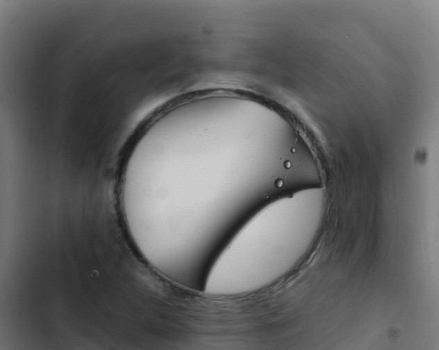 X0000103451312200809121116
