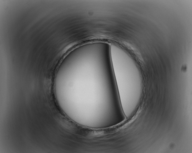 X0000103451313200809121116