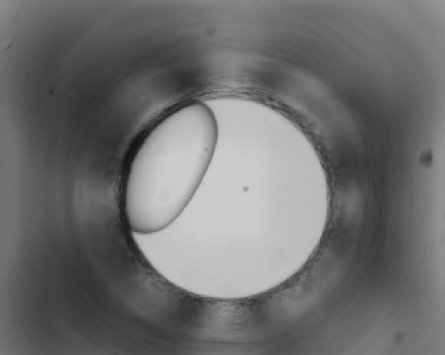 X0000103451314200809121116