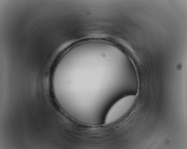 X0000103451315200809121116
