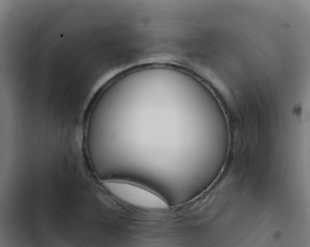 X0000103451316200809121116