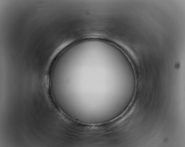 X0000103451317200809121116