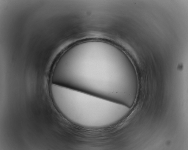 X0000103451318200809121116