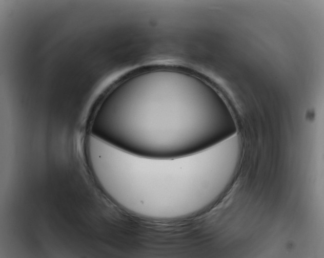 X0000103451319200809121116