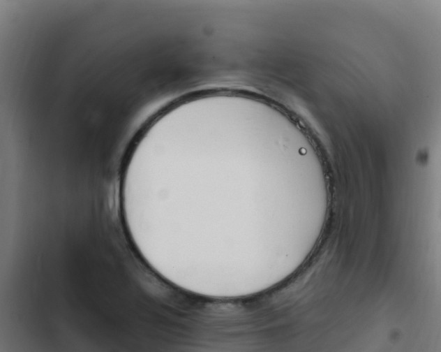 X0000103451320200809121116