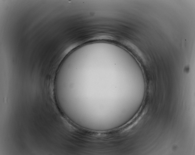 X0000103451321200809121116