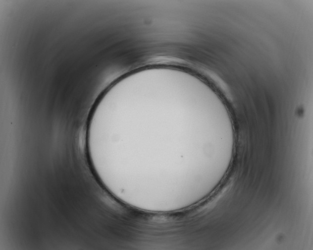 X0000103451322200809121116