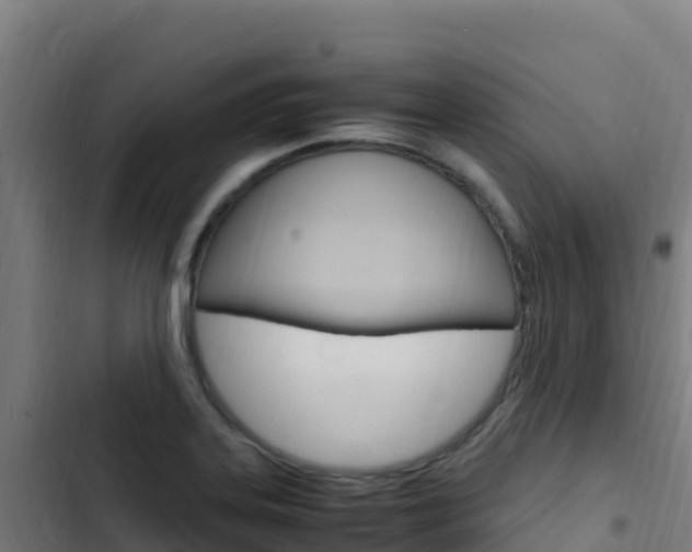 X0000103451323200809121116