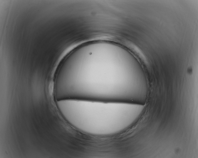 X0000103451324200809121116