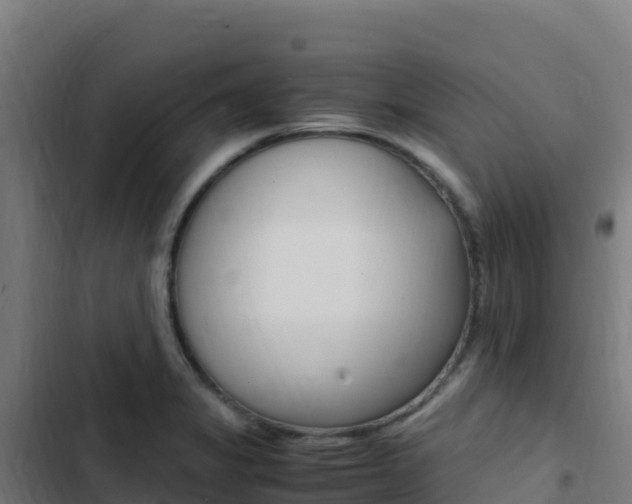 X0000103451325200809121116