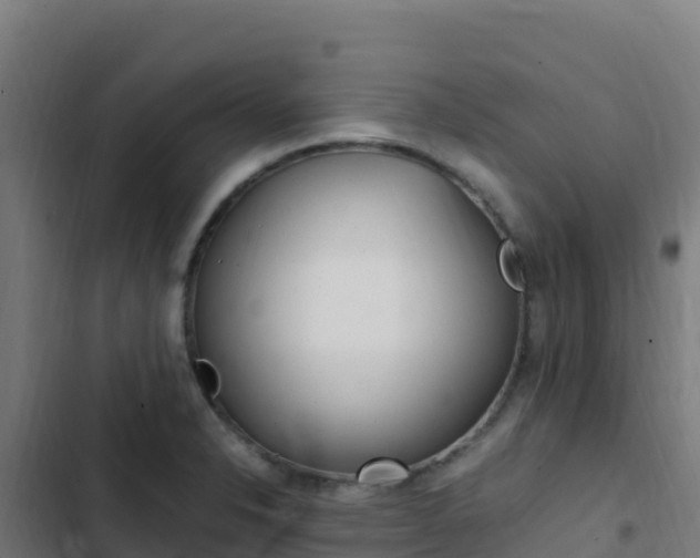 X0000103451326200809121116