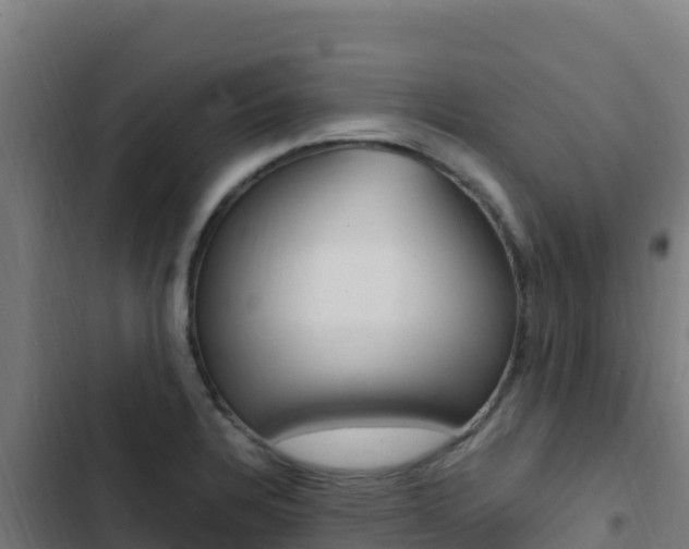 X0000103451328200809121116