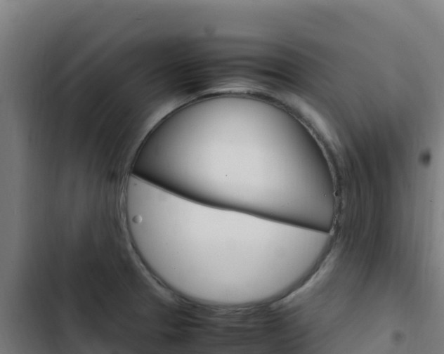 X0000103451329200809121116